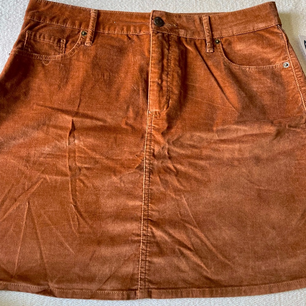 Velvet skirt